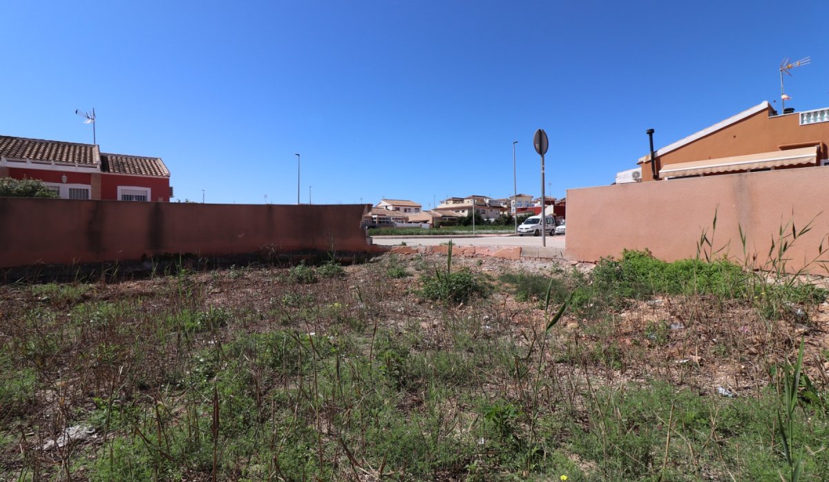 Revente - Parcelle / Terrain - Daya Nueva - Daya Nueva - Town
