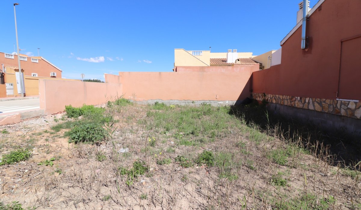 Revente - Parcelle / Terrain - Daya Nueva - Daya Nueva - Town