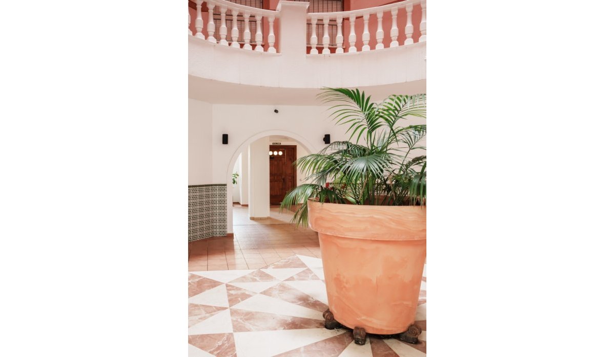 Revente - Appartement - Torrevieja - Playa Los Locos