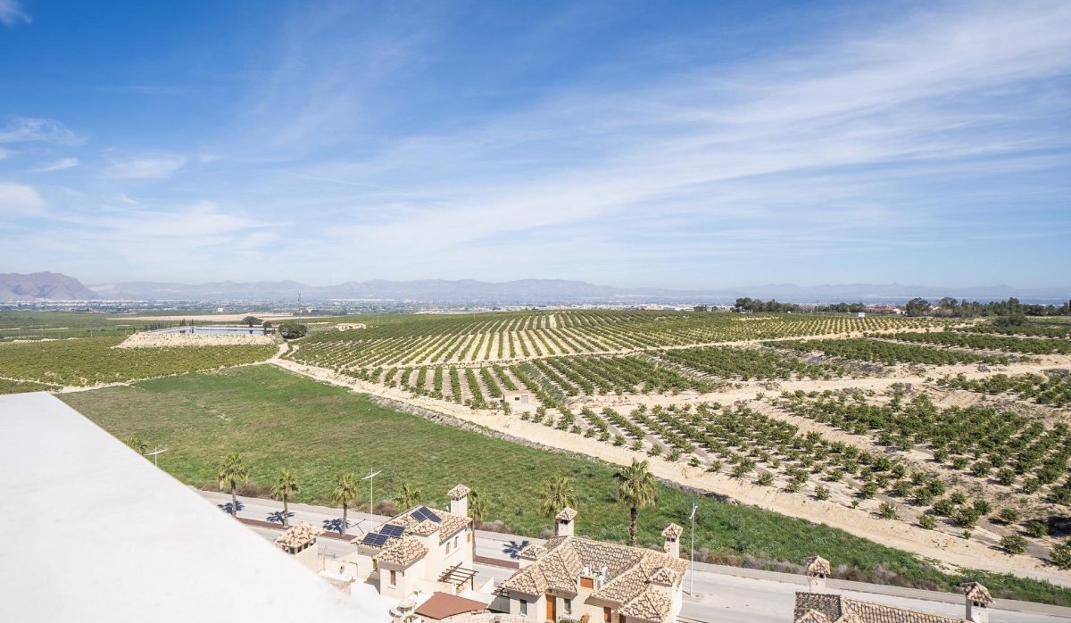 Nouvelle construction - Villa - Algorfa - La Finca Golf