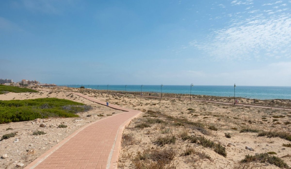 New Build - Penthouse - Torrevieja - La Mata