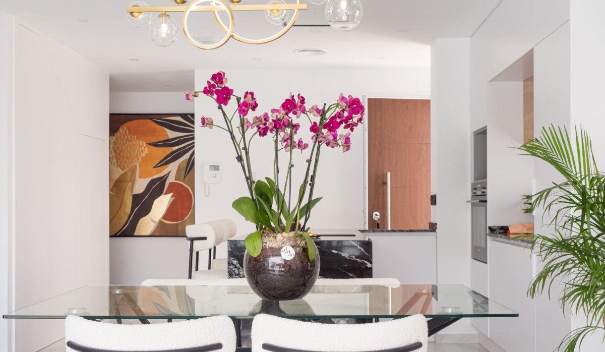 New Build - Villa - San Pedro del Pinatar - San Pedro Del Pinatar