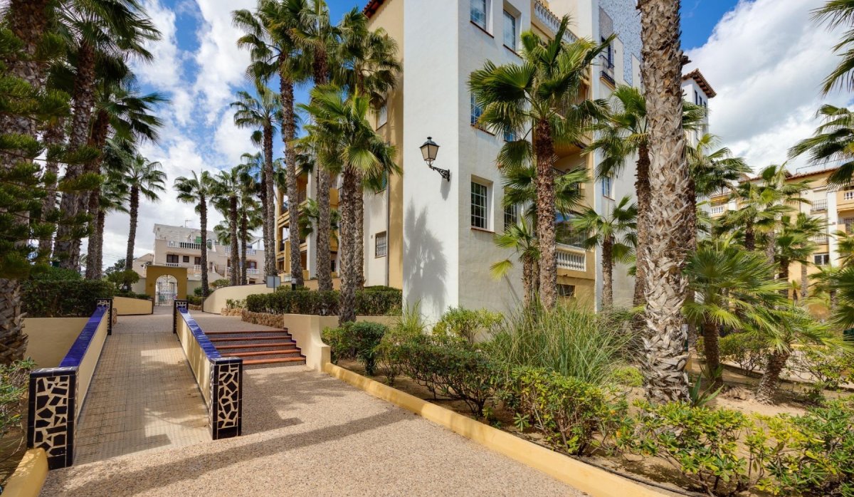 Revente - Appartement - Torrevieja - Los Locos