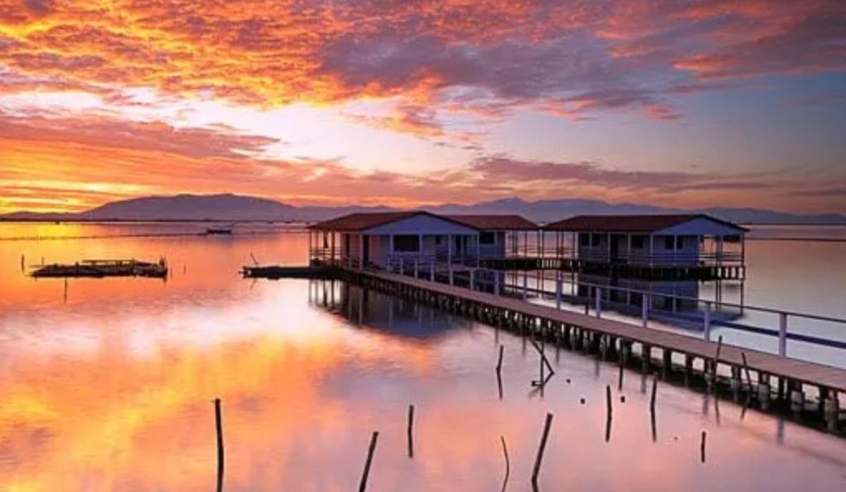 Obra nueva - Bungalow - San Pedro del Pinatar - Los Pinos