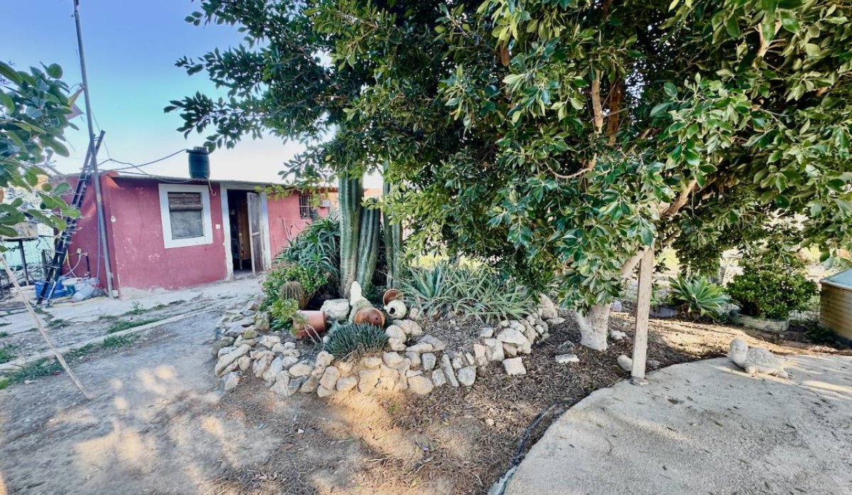 Reventa - Villa - Guardamar del Segura