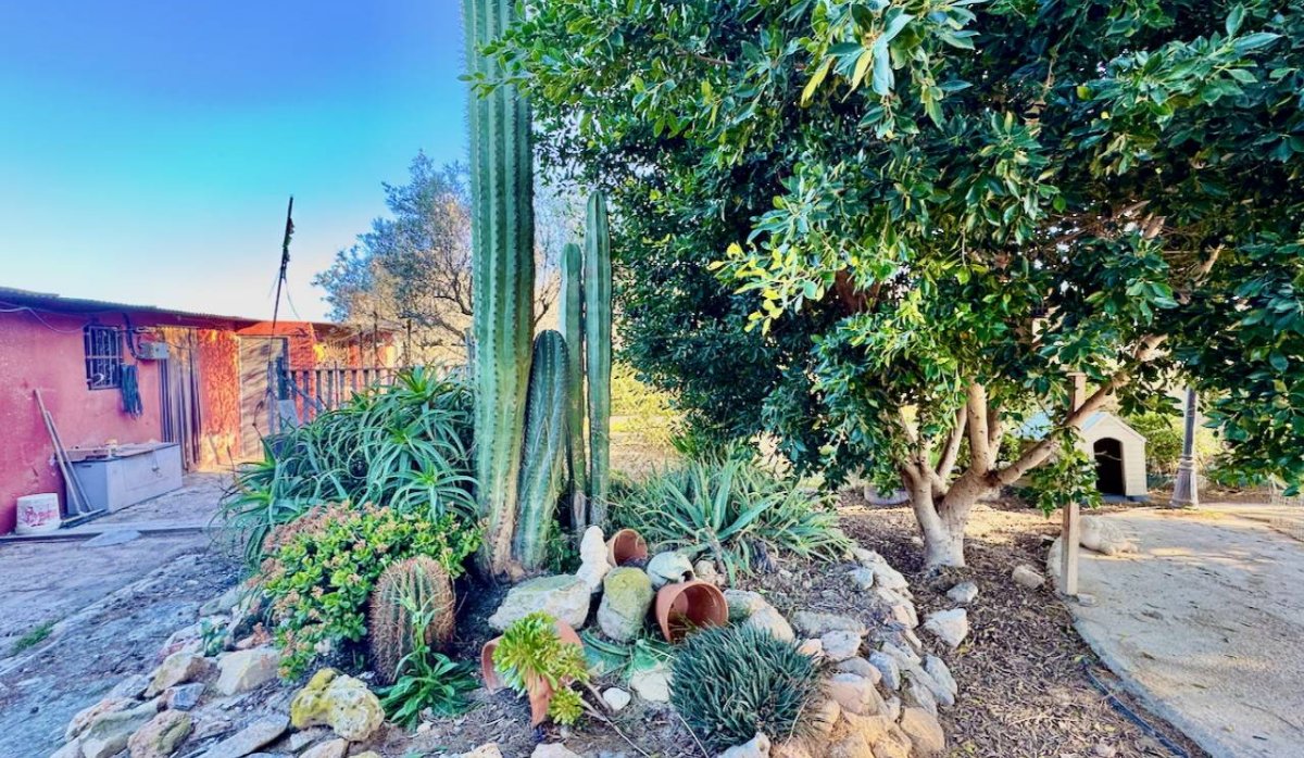 Reventa - Villa - Guardamar del Segura