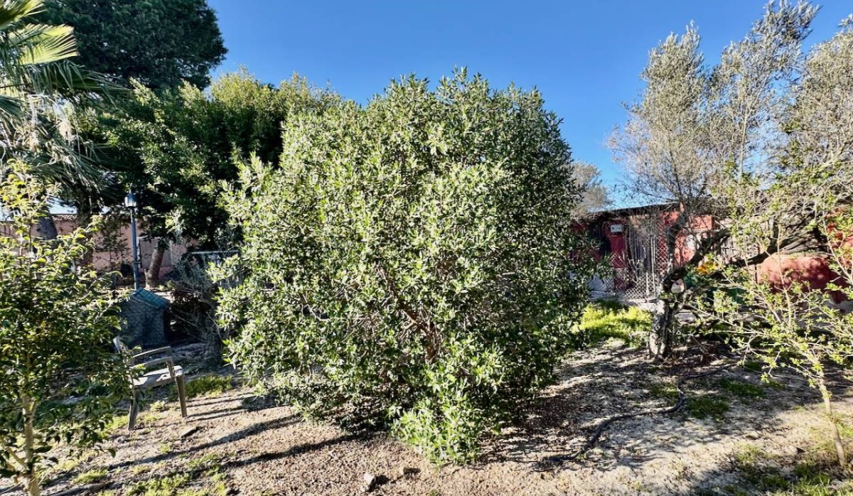 Reventa - Villa - Guardamar del Segura