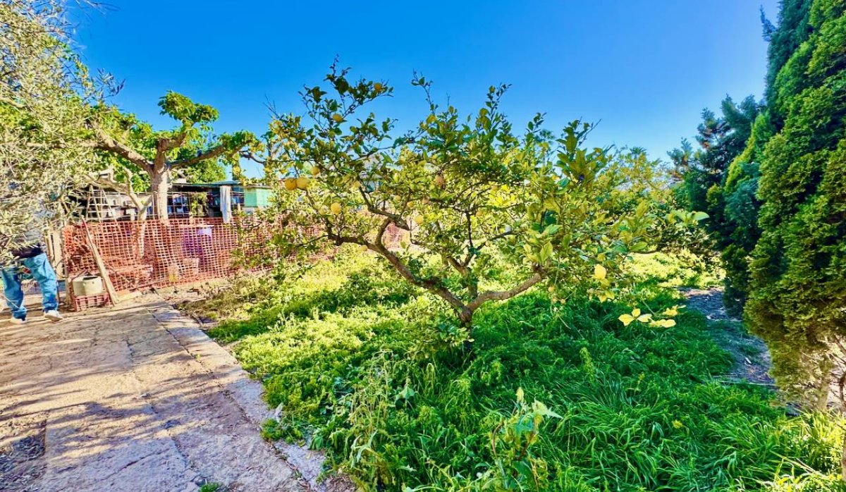 Reventa - Villa - Guardamar del Segura