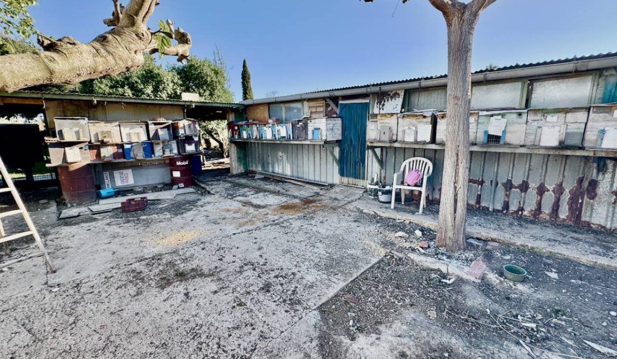 Reventa - Villa - Guardamar del Segura