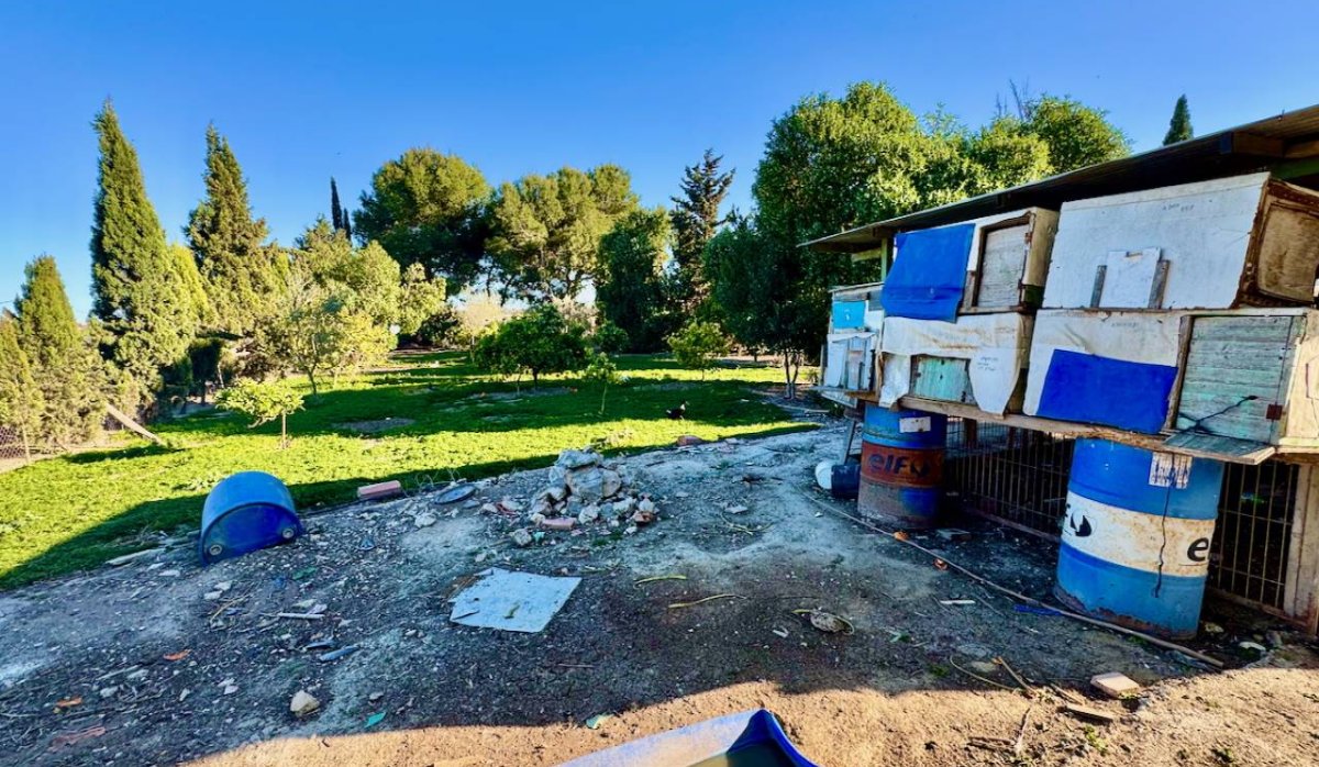 Reventa - Villa - Guardamar del Segura