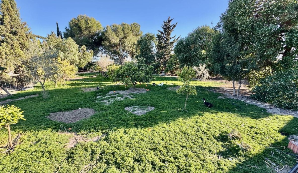 Reventa - Villa - Guardamar del Segura