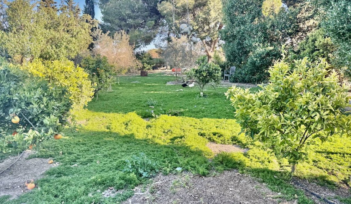 Reventa - Villa - Guardamar del Segura