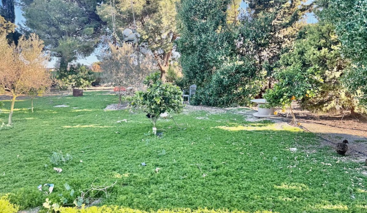 Reventa - Villa - Guardamar del Segura