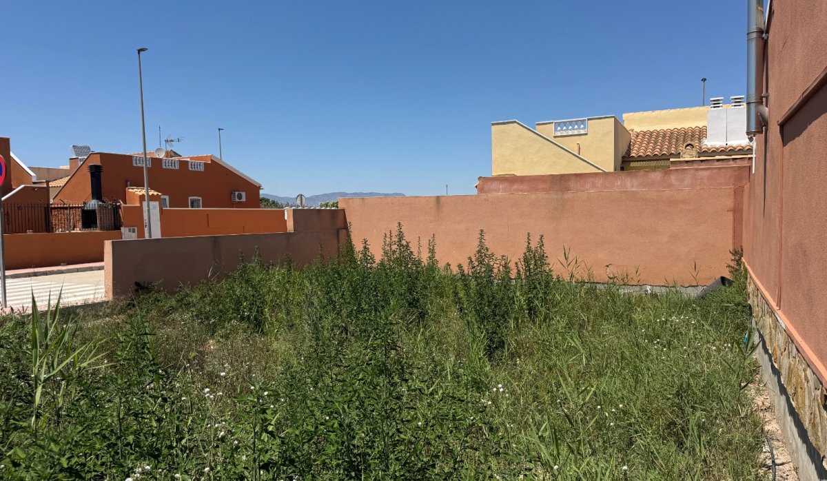 Revente - Parcelle / Terrain - Daya Nueva