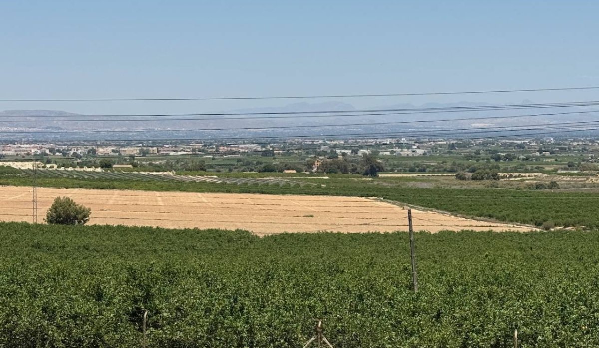 Resale - Villa - Algorfa - Lomas de La Juliana