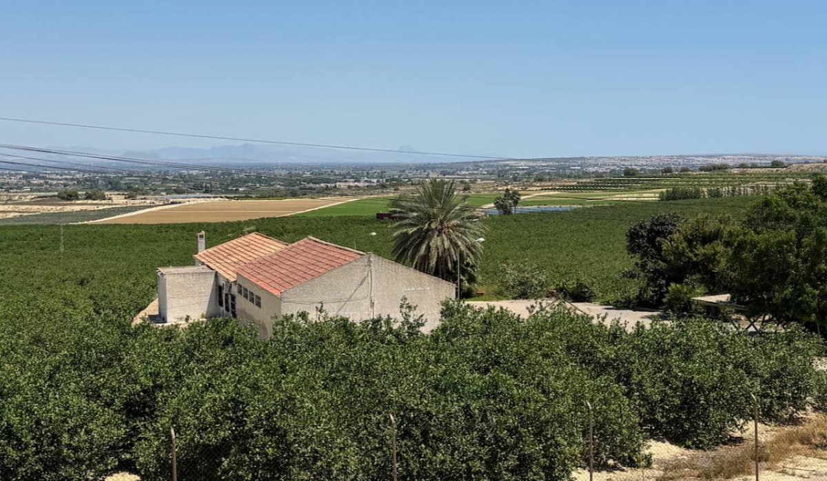 Resale - Villa - Algorfa - Lomas de La Juliana