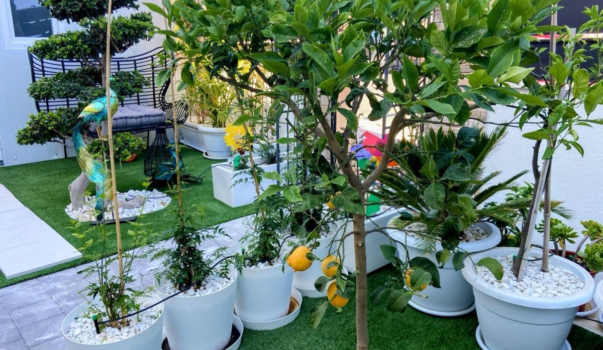 Revente - Villa - Finestrat