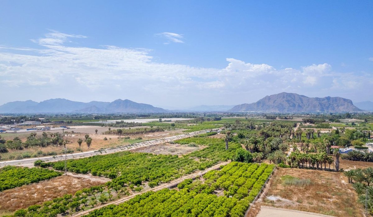 Nouvelle construction - Appartement - Jacarilla - pueblo