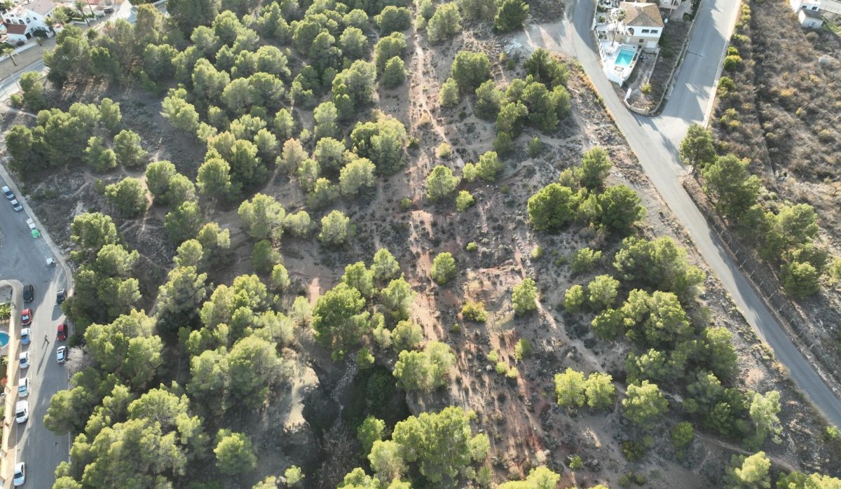 Obra nueva - Villa - Alfas del Pí - Escandinavia