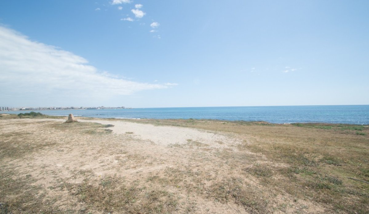 Revente - Appartement - Torrevieja - La veleta