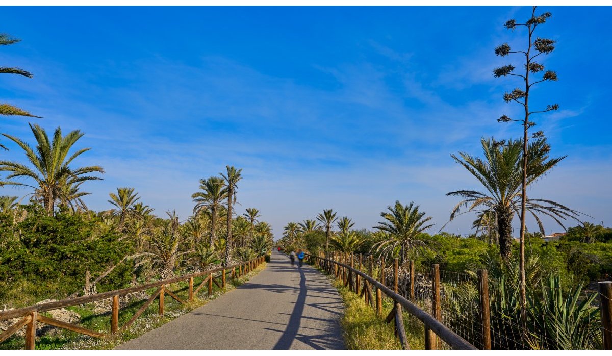 Revente - Appartement - Guardamar del Segura