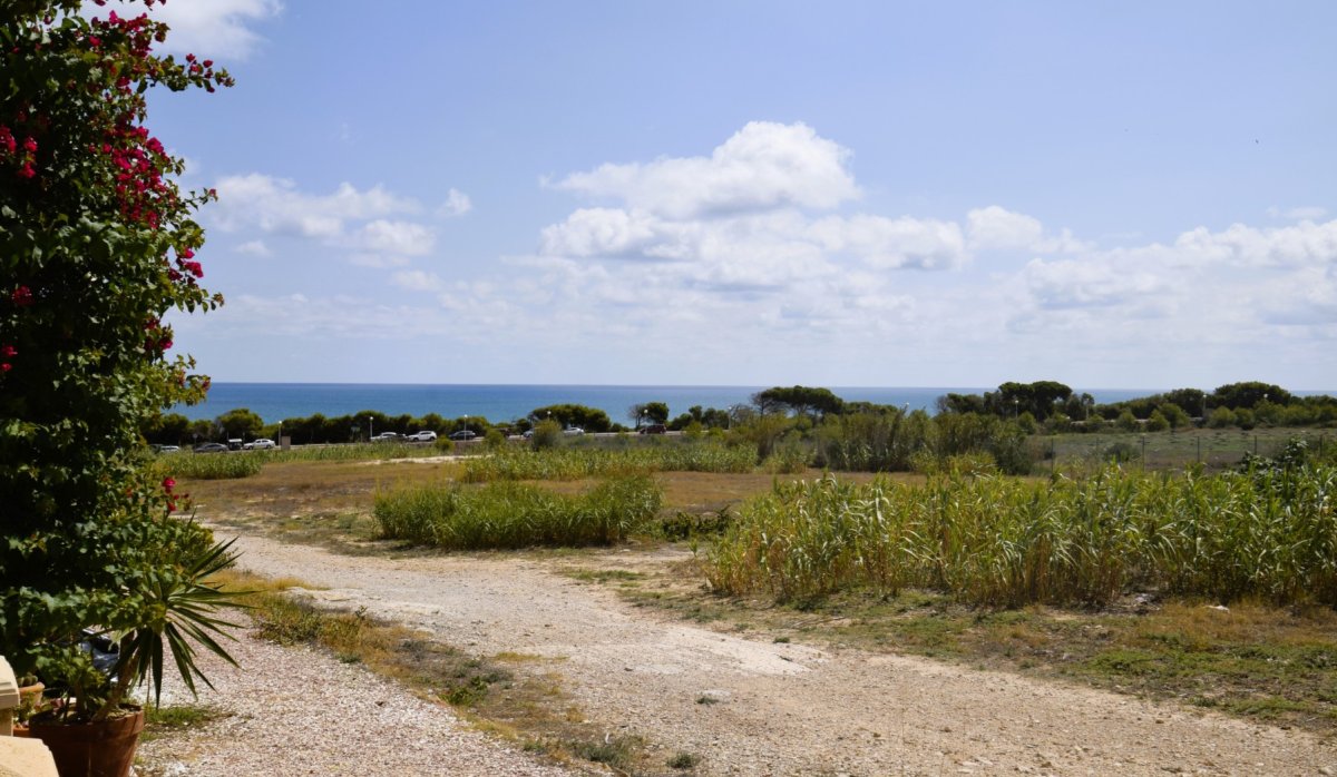 Revente - Appartement - Guardamar del Segura - Campomar